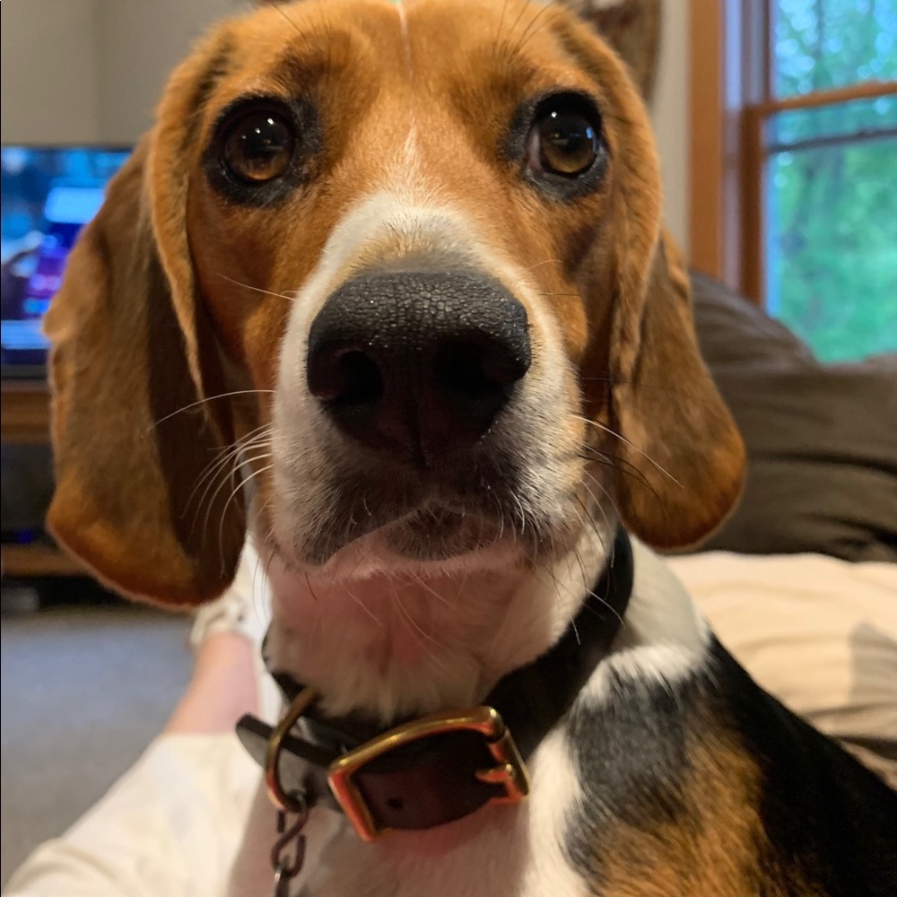 Meet your Posher, Lynn